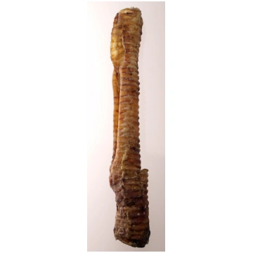Liellopu traheja 30 cm, 1 gb