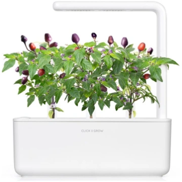 Click & Grow gudrā augu dārza uzpilde Violetais či