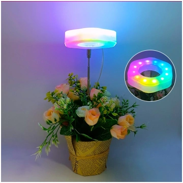 Gaisma augiem - LED augošie augi - RGB galvas apga