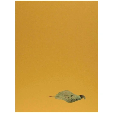 Yoshihiro Suda. Garden Eden: Ausst. Kat. Staatlich