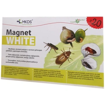 Mini MAGNET white (20X12 cm) – ābolu un plūmju zāģ
