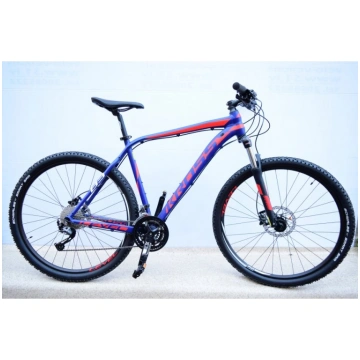 Kross Level B3