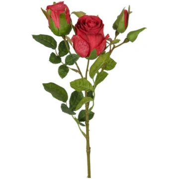 Roze 40cm sarkana 2 ziedi