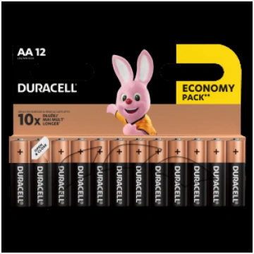 Baterija DURACELL Basic AA LR6 12 gab./iepak. 250-