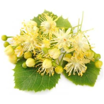 Liepziedi, (Tilia americana) absolūts Premium, Lin