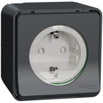 Mureva Styl k.ligzda v/a 16A 2P+E IP55 IK08 Schnei