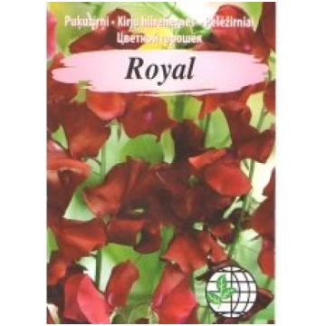 Agrimatco Sēklas puķuzirņi Royal tumši sarkani 2g