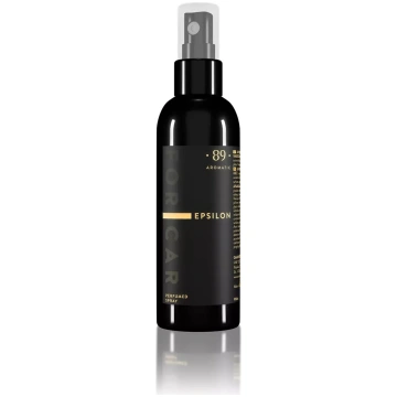 Italscent Aromatic89 Epsilon 100 ml - Aerosol smar
