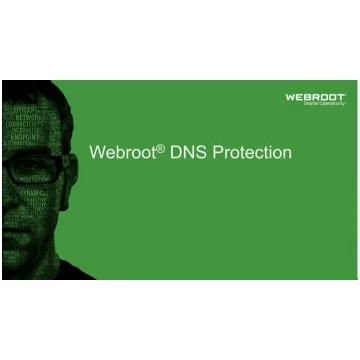 Webroot | DNS Protection with GSM Console | 1 year