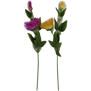 Zieds dekoratīvais-Echinacija 1gb 55cm