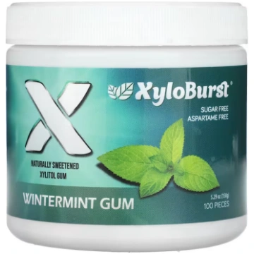 Xyloburst, Xylitol Gum, Wintermint Gum, 100 Pieces
