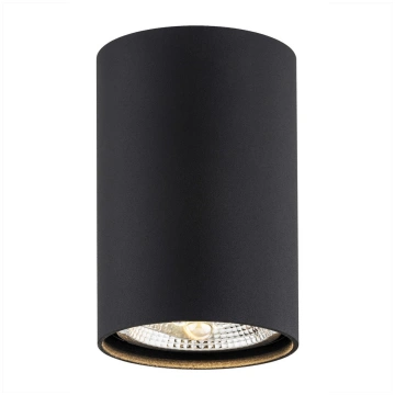 Lampa griesti Argon Tubo, GU10, 1 x 12 W, melna kr