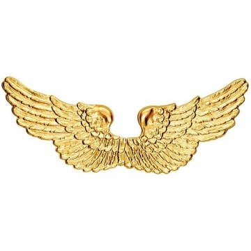 Golden Angel Wings - kostīmu aksesuārs Nenurodyta
