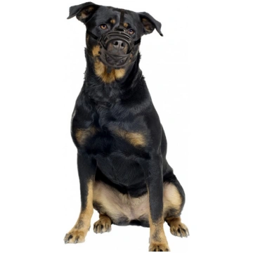Duvo Plus Dog muzzle rubber, XL- ergonomiskais uzp