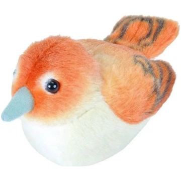 Fremeaux Wild Republic Birds with Sound Nightingal