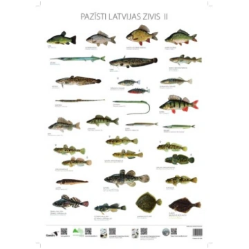Gandrs Pazīsti Latvijas zivis II 1000394941001