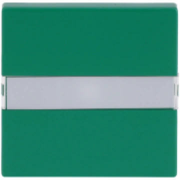 Rocker with labelling field for Switch/push button