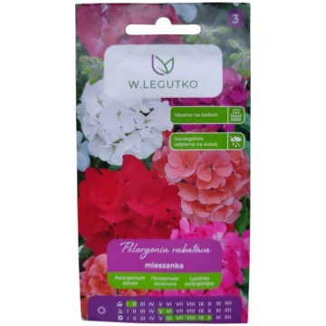 Pelargonijas dārza jauktas W. Legutko