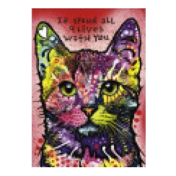 Heye Puzzle 1000 gab. Kaķis (29731) [Kot]