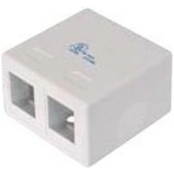 DIGITUS Consolidation Point casing for 2x Keystone