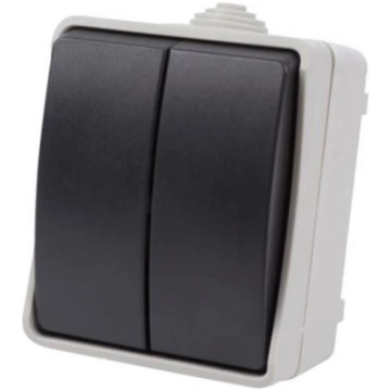 OUTDOOR 2 GANG 2 WAY SWITCH China EWSW2W