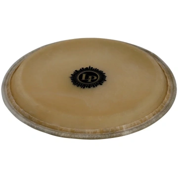 Conga head City EZ Curve Rims 10 Quinto Latin Perc