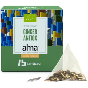 Home Green Tea Ginger 15 Bags 30 gr