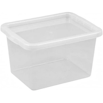 Uzglabāšanas kaste ar vāku Plast Team, caurspīdīga