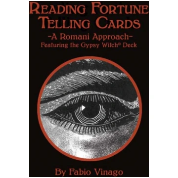 Reading Fortune Telling Cards Fabio Vinago