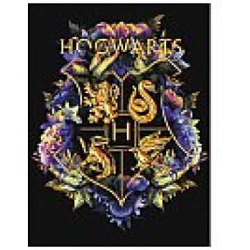 Komplekts gleznošanai pēc numuriem "Harry Potter: 