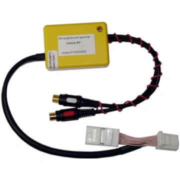 Trioma multimedia interface (AUDIO, VIDEO IN) for