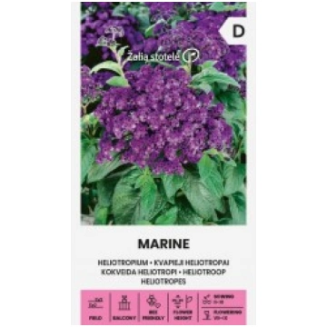 KOKVEIDA HELIOTROPI MARINE ŽALIA STOTELĖ