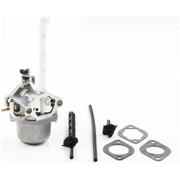 Karburators Briggs&Stratton 796122