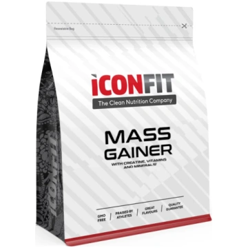 ICONFIT Mass Gainer - Banana (Carb 5:1 Protein), 1