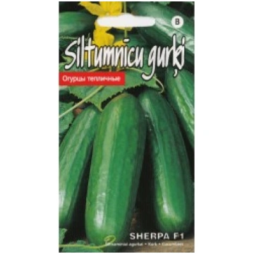 GURĶI SHERPA F1 KURZEMES